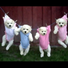 Tweet du 9 septembre –&nbsp;Jaejoong