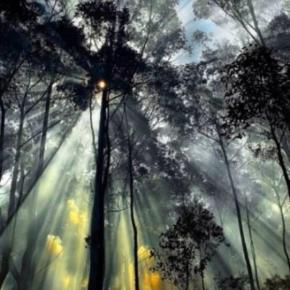 Tweet du 20 janvier 2013 –&nbsp;Junsu