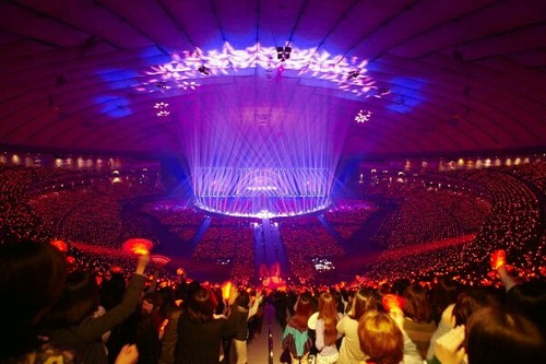 24029f52b945a39aa803f11