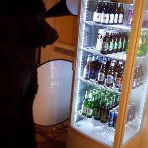 [PIC + TRAD] 130728 Twitter de Jaejoong et&nbsp;Junsu