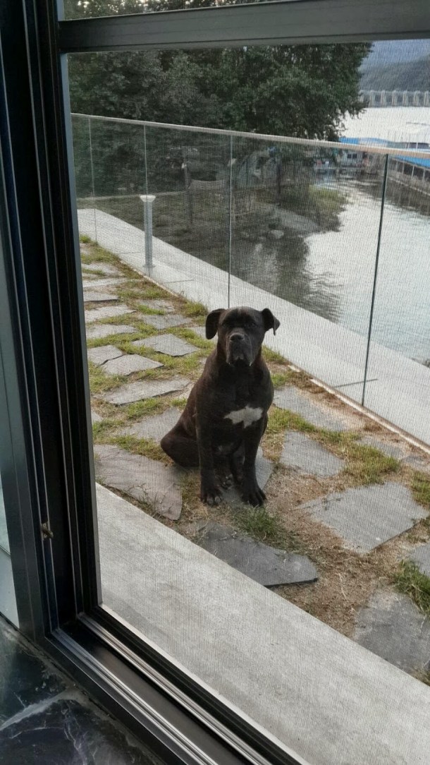 BVRPZVbCIAAHV1F.jpg large