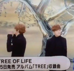 [VID] 140204 Tohoshinki – &laquo;&nbsp;Tree of Life&nbsp;&raquo; PV&nbsp;(preview)