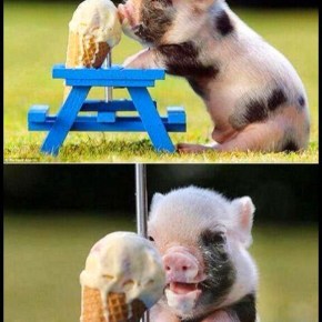 [TRAD] 140323 Boys Republic tweetent au sujet de&nbsp;Jaejoong