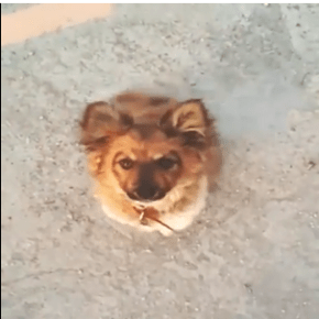 [VID] 140413 Instagram de&nbsp;Jaejoong