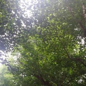 [TRAD+PIC] 140512 Twitter de&nbsp;Junsu