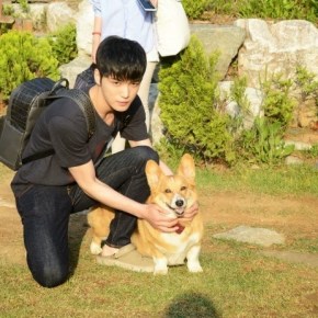 [PIC] 140629 Jaejoong sur le blog &laquo;&nbsp;Corgi Love&nbsp;&raquo;