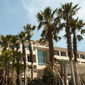 [NEWS + PIC] 140821 L&rsquo;hôtel de Kim Junsu sur l&rsquo;île de Jeju va ouvrir &laquo;&nbsp;les profits iront aux personnes défavorisées&nbsp;&raquo; + photos de&nbsp;l&rsquo;hôtel