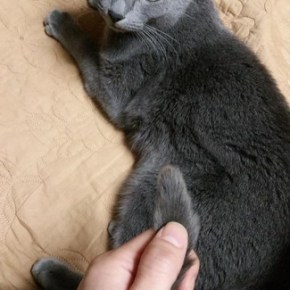 [PIC] 141102 Twitter de&nbsp;Jaejoong