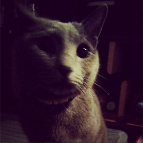 [PIC] 141102 Instagram de&nbsp;Jaejoong