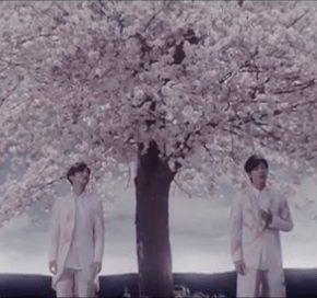 [VID] Tohoshinki ‘Sakuramichi’ PV (Short&nbsp;Ver.)