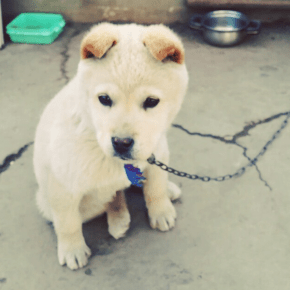 [VID+TRAD] 150223 Instagram de&nbsp;Jaejoong