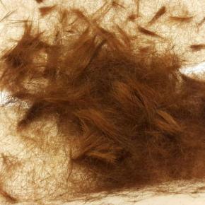 [PIC+TRAD] 150330 Twitter de&nbsp;Jaejoong