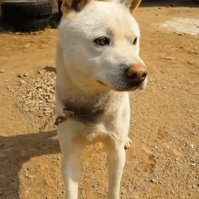 [VID] 150316 Instagram de&nbsp;Jaejoong