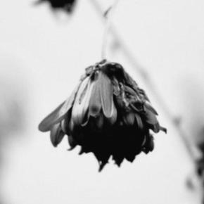 [PIC+TRAD] 150302 Twitter de&nbsp;Junsu