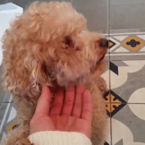 [VID+TRAD] 150311 Instagram de Jaejoong : Hiro&nbsp;!