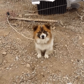 [VID+TRAD] 150317 Instagram de&nbsp;Jaejoong