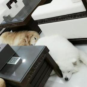 [PIC+TRAD] 150531 Twitter de Junsu (partie&nbsp;2)