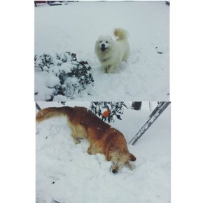 [PIC+TRAD] 160128 Instagram de&nbsp;Junsu