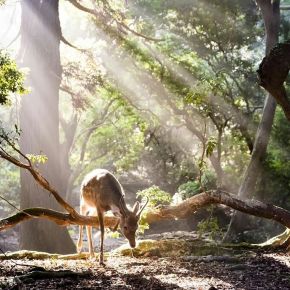 [PIC+TRAD] 161013 Instagram de Junsu (Mountain&nbsp;Spring)
