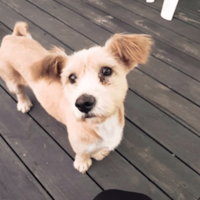 [VID] 170911 Instagram de&nbsp;Jaejoong