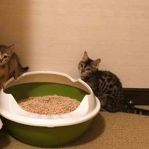 [PIC+VID+TRAD] 180317 Instagram et Twitter de&nbsp;Jaejoong